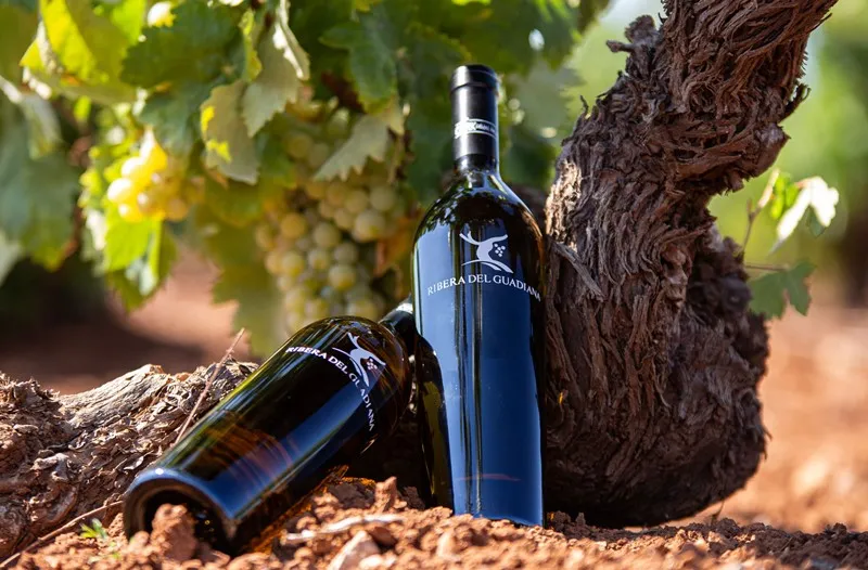 Ruta del Vino — Tierra de Barros